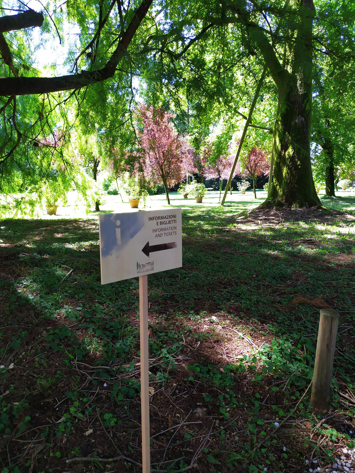 Cartello segnaletico in plexiglass bianco con freccia, montato su palo in legno in un parco