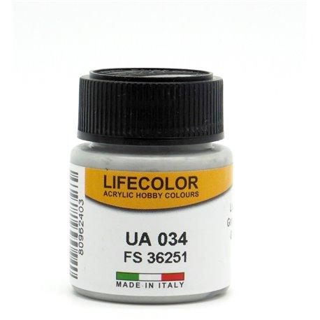LIFECOLOR UA 034 GRIGIO CHIARO - incisoria