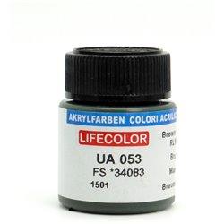 LIFECOLOR UA 053 BRUNO - incisoria