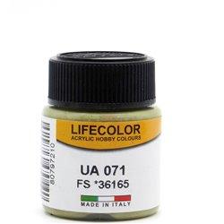 LIFECOLOR UA 071 GRIGIO - incisoria