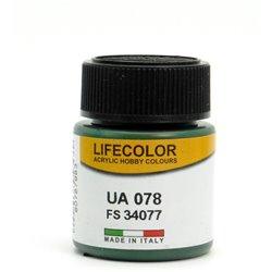 LIFECOLOR UA 078 VERDE SCURO - incisoria